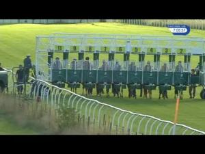 Video preview image for Thirsk 19:05 - Calverts Carpets Handicap