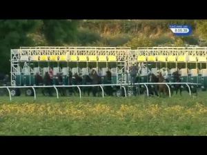 Video preview image for Thirsk 20:05 - Racing UK HD Handicap