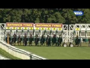 Video preview image for Newbury 16:40 - Bathwick Tyres Maiden Auction Stakes