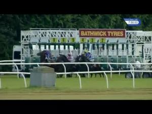 Video preview image for Newbury 19:50 - Bathwick Tyres Swindon Handicap