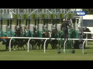 Video preview image for Musselburgh 14:00 - Dam Good British Stallion Studs EBF Maiden Stakes (Plus 10)