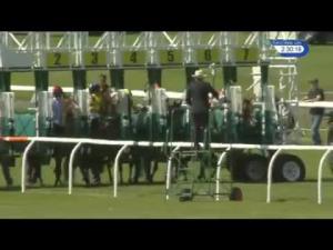 Video preview image for Musselburgh 14:30 - World Horse Welfare Handicap