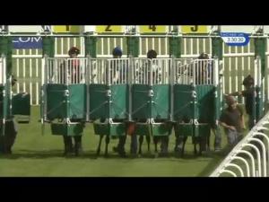 Video preview image for Musselburgh 15:30 - Gloria Roche Handicap