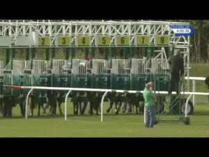 Video preview image for Musselburgh 16:00 - Rae Hawthorne Memorial Handicap