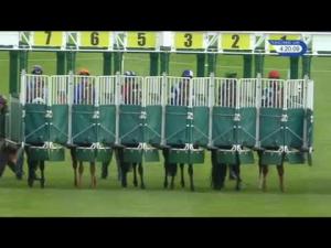 Video preview image for Catterick Bridge 16:20 - Betfred Goals Galore Extra Handicap