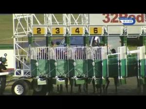 Video preview image for Kempton Park 20:10 - 32Red On The App Store Handicap