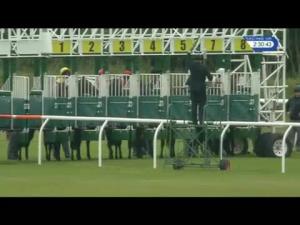 Video preview image for Musselburgh 14:30 - Dickson Minto Nursery