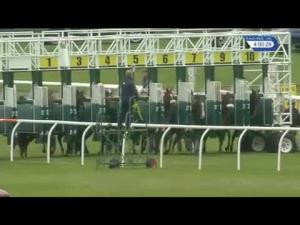 Video preview image for Musselburgh 16:00 - Scott Coppola Electrical Distributor Handicap