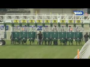 Video preview image for Musselburgh 17:05 - Racing UK In HD Handicap