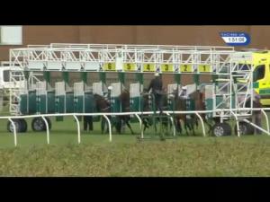 Video preview image for Thirsk 13:50 - Captain Jack Sparrow's Pirates Day Maiden Claiming Stakes