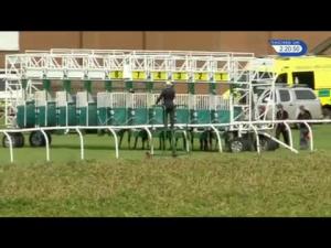 Video preview image for Thirsk 14:20 - British Stallion Studs EBF Maiden Fillies' Stakes (Plus 10)