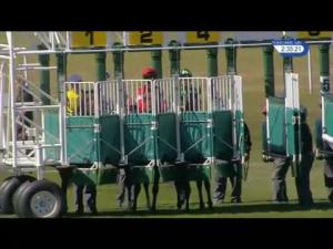 Video preview image for Newmarket 14:35 - Trm Gnf (Gut Nutrition Formula) Nursery