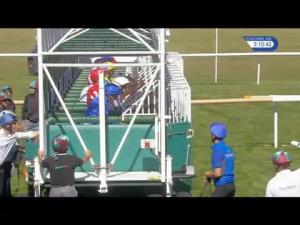 Video preview image for Newmarket 15:10 - Trm Excellence In Equine Nutrition EBF Stallions Maiden Stakes (Plus 10)