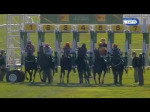 Video preview image for Newmarket 15:45 - Hoofmaker By Trm Handicap
