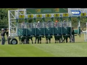 Video preview image for Newmarket 16:20 - Trm Maiden Stakes