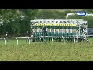 Video preview image for Thirsk 16:40 - High Definition Racing UK Handicap (Div 1)