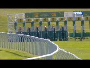 Video preview image for Newmarket 16:55 - Trm Invest In Calphormin Fillies' Handicap (Supported By The Thoroughbred Breeders' Association)