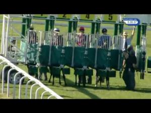 Video preview image for Goodwood 17:35 - Chichester Observer Maiden Stakes (Plus 10)
