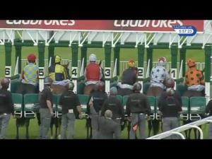 Video preview image for Hamilton Park 17:55 - Whysettle It Maiden Stakes