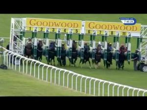 Video preview image for Goodwood 19:45 - Ultimate Driving Stakes (Handicap)