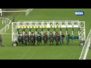 Video preview image for Hamilton Park 20:00 - Download The Ladbrokes App Handicap
