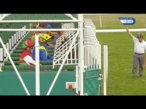 Video preview image for Newmarket 13:50 - Eddie Stobart E Fulfilment EBF Stallions Maiden Stakes (Plus 10)