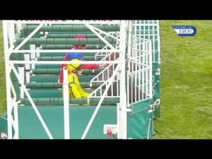 Video preview image for Newmarket 14:25 - Fly Easyjet From London Southend Airport Nursery