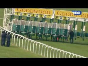Video preview image for Goodwood 14:45 - Prestige Stakes (Fillies' Group 3)
