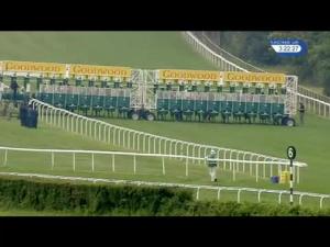 Video preview image for Goodwood 15:20 - Goodwood Revival Stakes (Handicap)