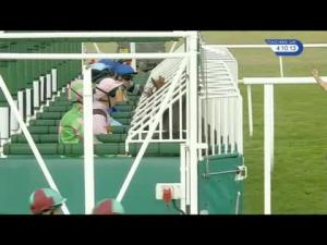 Video preview image for Newmarket 16:10 - Stobart Club and Shop Hopeful Stakes (Listed)