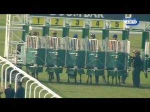 Video preview image for Goodwood 16:30 - Doom Bar Celebration Mile (Group 2)