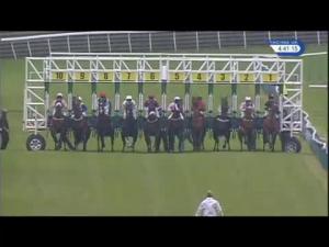 Video preview image for Redcar 16:40 - racinguk.com/daypass Handicap (For Lady Amateur Riders)