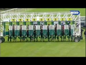 Video preview image for Redcar 17:50 - Market Cross Jewellers Novice Median Auction Stakes