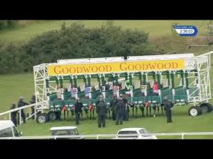Video preview image for Goodwood 14:35 - Chichester City Selling Stakes