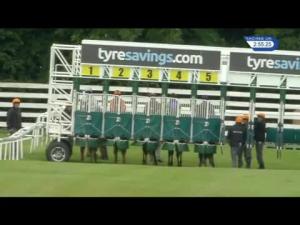 Video preview image for Beverley 14:55 - Racing UK HD Nursery