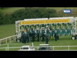 Video preview image for Goodwood 16:55 - Harwood Group Fillies' Stakes (Handicap)