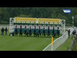 Video preview image for Goodwood 17:30 - Molecomb Blue Stakes (Handicap)