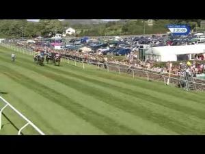 Video preview image for Cartmel 14:20 - Cartmel Sticky Toffee Pudding Novices' Hurdle