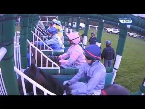 Video preview image for Epsom Downs 16:55 - Stanley Wootton Handicap