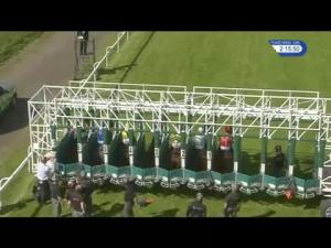 Video preview image for Hamilton Park 14:15 - Always Trying Maiden Stakes (Plus 10)