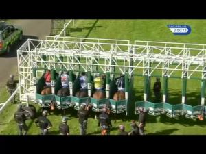 Video preview image for Hamilton Park 14:50 - Bestway Wholesale Maiden Stakes