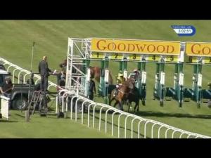 Video preview image for Goodwood 15:00 - ebfstallions.com Peter Willett 'Stallion-restricted' Conditions Stakes (Plus 10)