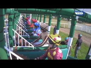 Video preview image for Epsom Downs 15:10 - Terry Mills & John Akehurst Handicap