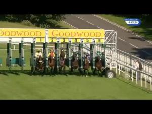 Video preview image for Goodwood 16:45 - Goodwood Revival Stakes (Handicap)