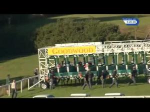 Video preview image for Goodwood 17:20 - Flying School At Goodwood Stakes (Handicap)