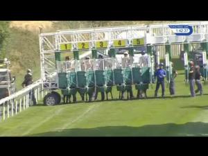 Video preview image for Salisbury 13:40 - Lester Brunt Wealth Management EBF Stallions Novice Stakes (Plus 10)