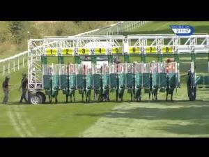 Video preview image for Salisbury 14:10 - Irish Yearling Sales Nursery