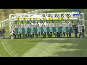 Video preview image for Salisbury 14:40 - Virginia Walwyn Memorial EBF Quidhampton Maiden Fillies' Stakes (Plus 10) (Div 1)