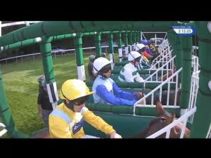 Video preview image for Salisbury 15:10 - Virginia Walwyn Memorial EBF Quidhampton Maiden Fillies' Stakes (Plus 10) (Div 2)