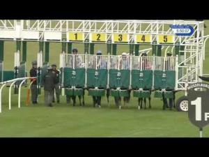 Video preview image for Musselburgh 17:50 - Kier Construction Handicap